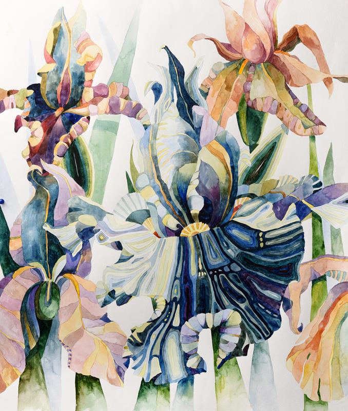 Голубой ирис